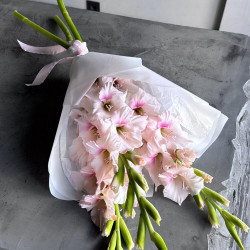 Букет из 3 розовых гладиолуса