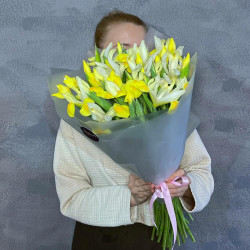 Букет из 33 желтых ирисов