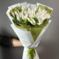 Букет из 39 белых ирисов
