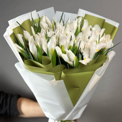 Букет из 39 белых ирисов