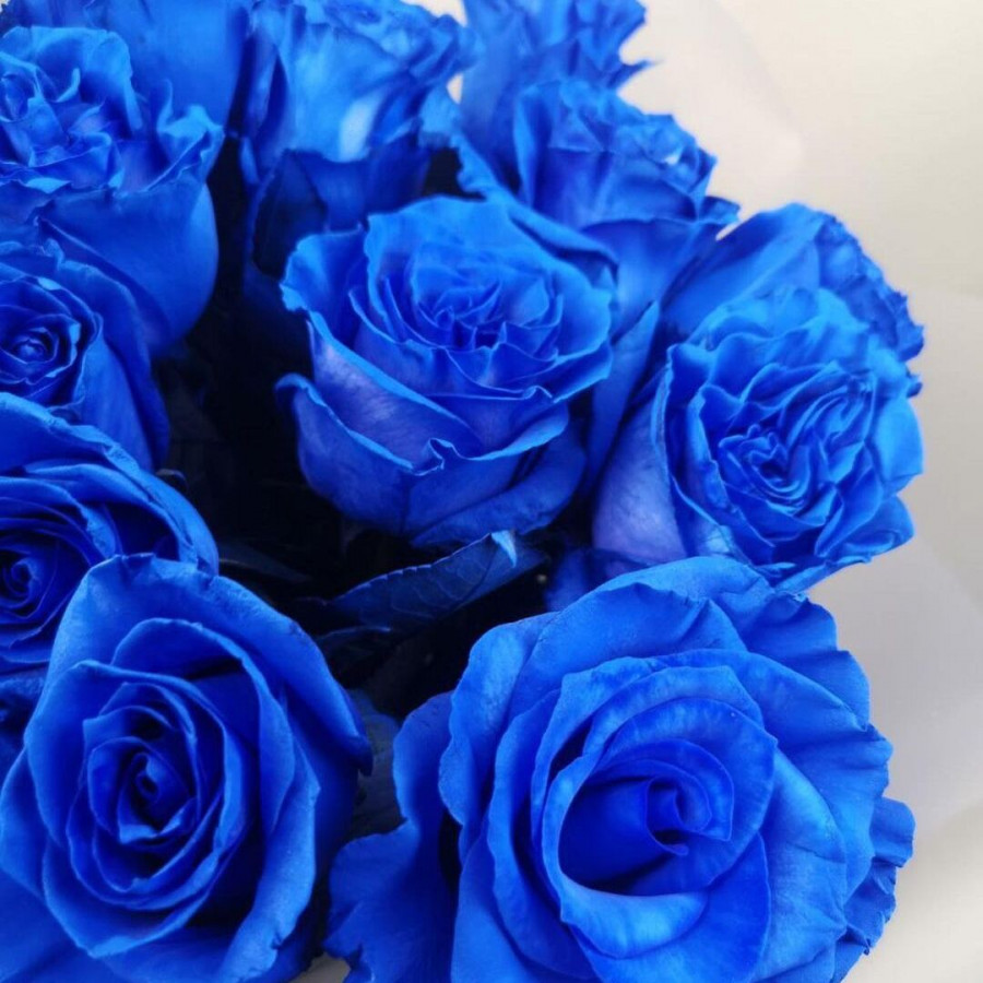 Букет из 15 синих роз - фото 2
